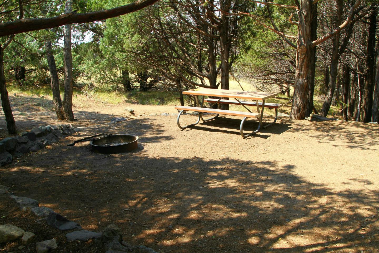 Closer view of Site #53 tent site with fire ring and picnic tableSite #53, Pinon Flats Campground