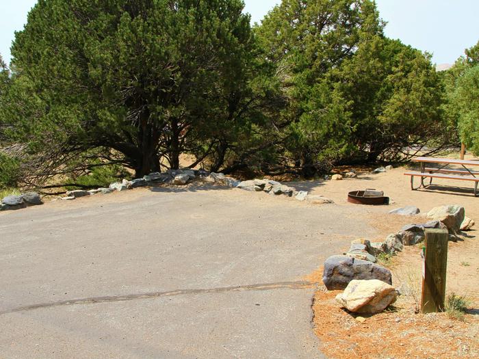 View of Site #48 parking pad, tent site, fire ring, and picnic table. This site has pine trees on the sides and backs up to site #85.Site #48, Pinon Flats Campground