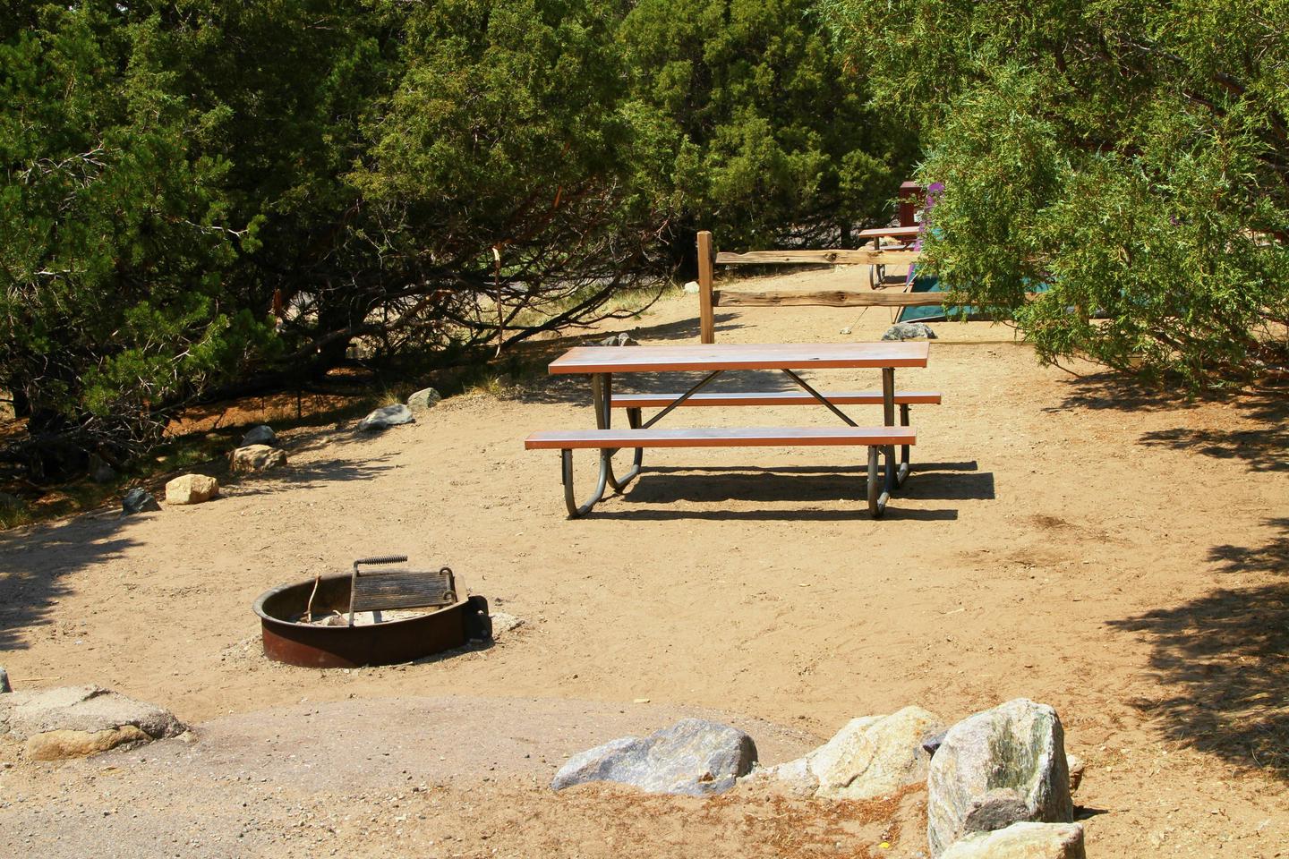 Front view of Site #48 tent pad, with fire ring and picnic table. In the background you can see the fence that is the only boundary between this site and Site #85.Site #48, Pinon Flats Campground