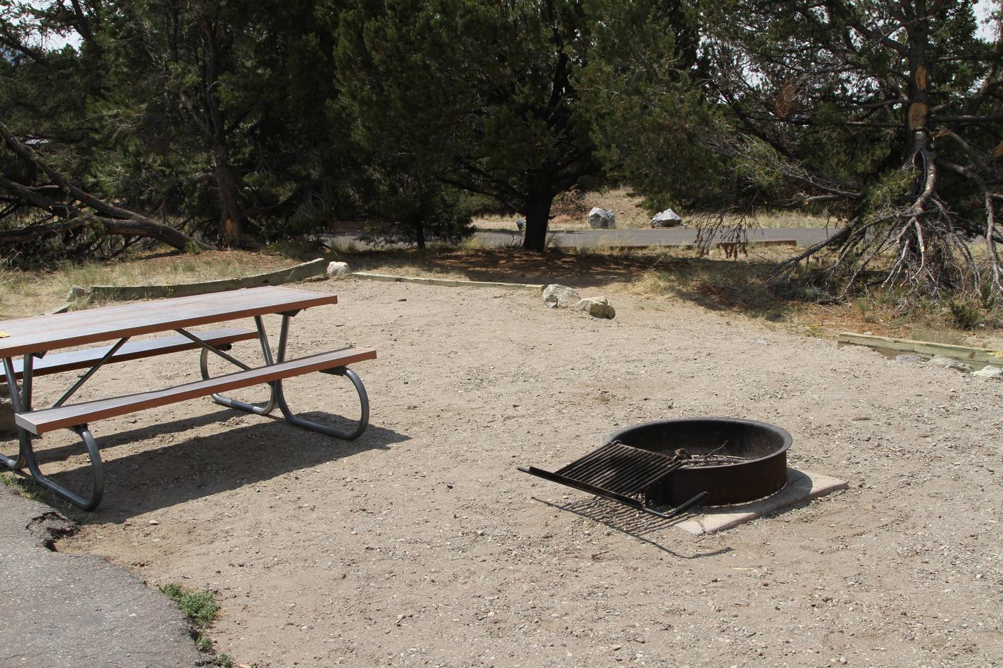 Closeup view of Site #46 tent pad, with picnic table and fire ring. Edge of parking pad does not have a full border with tent pad. Please don't accidently park in your tent area.Site #46, Pinon Flats Campground