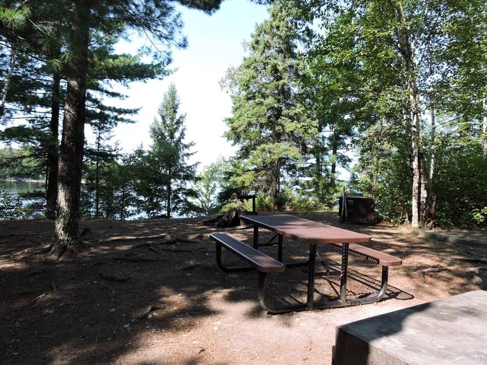 A picnic table surrounded by treesN46 - Wolfpack Island West campsite on Namakan Lake