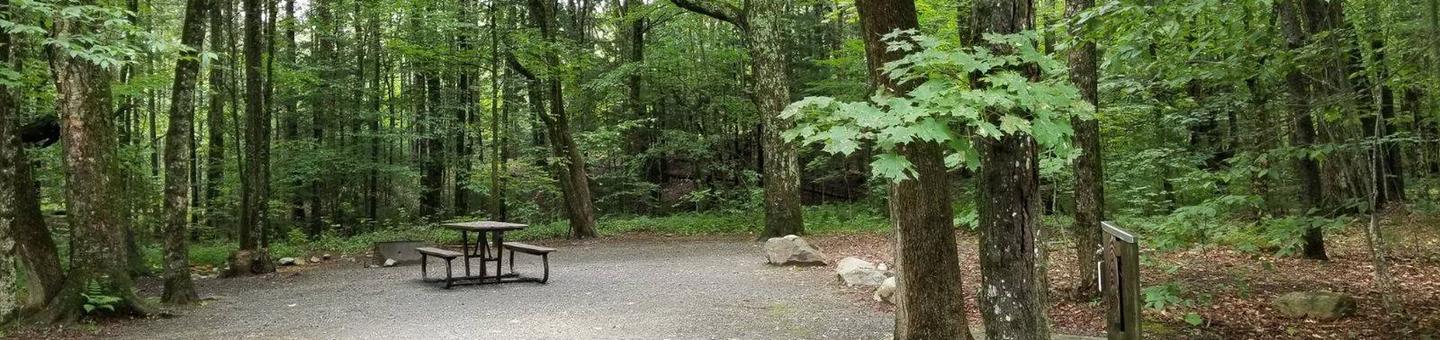 Campsite with picnic table and fire ring in wooded areacampsite 2