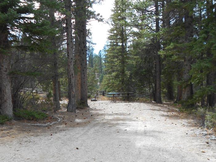 Preview photo of Pine Lake Campground