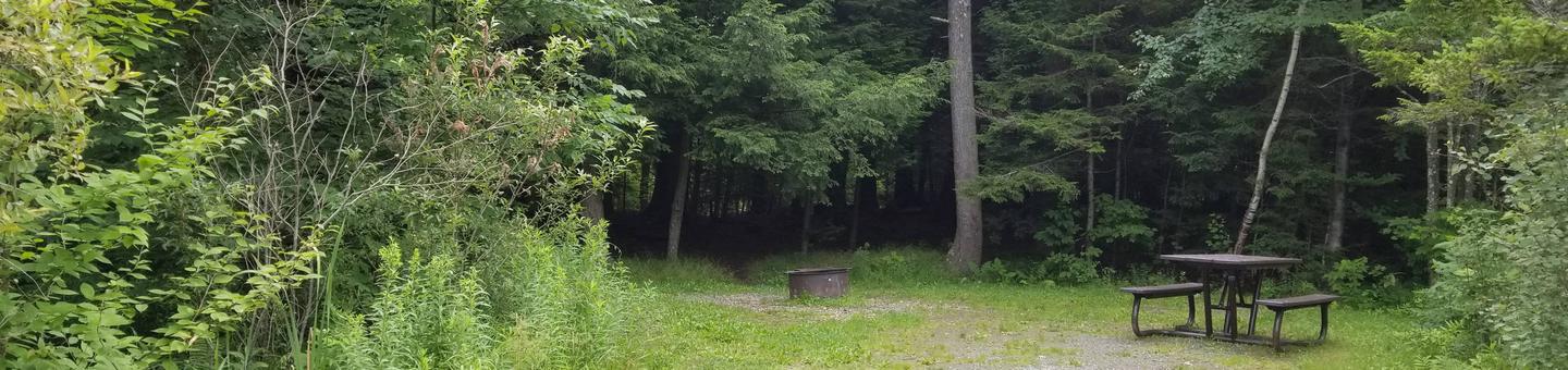 campsite with picnic table and fire pit in wooded areacampsite 7
