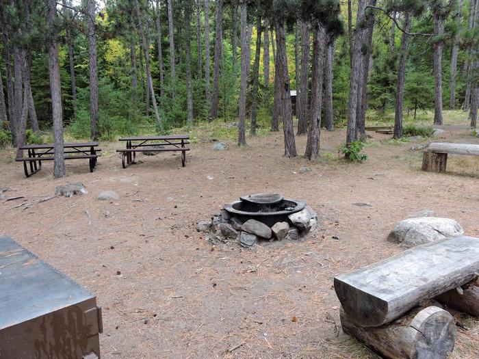 R16 - Kawawia Island, view of campsite looking in towards trees with fire ring in the middle of the campsite.View of campsite
