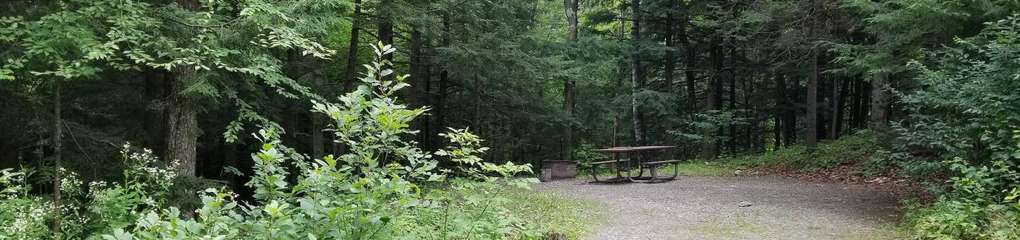 campsite with picncic table, fire ring, and gravel surfacing in wooded areacampsite 17