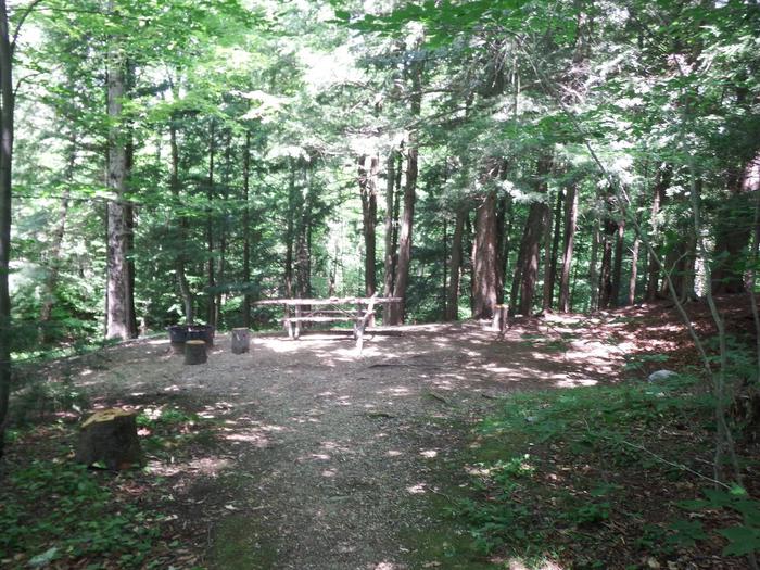 campsite with picnic table and fire ring in wooded areacampsite 18