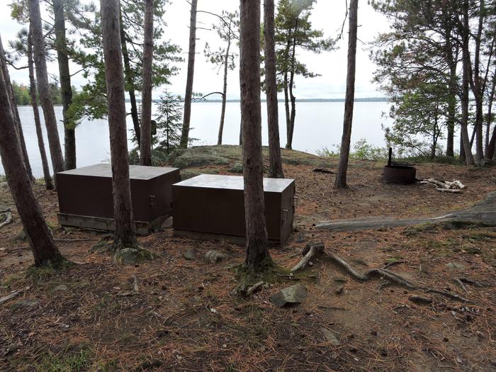 R19 - Logging Camp, view of campsite looking out at water through trees with bear boxes and fire ring at campsite.R19 - Logging Camp Island on Rainy Lake