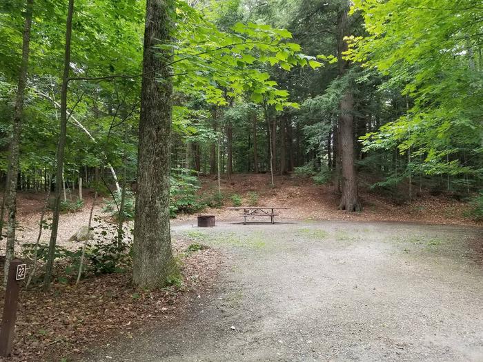 campsite with picnic table and fire ring in wooded areacampsite 22
