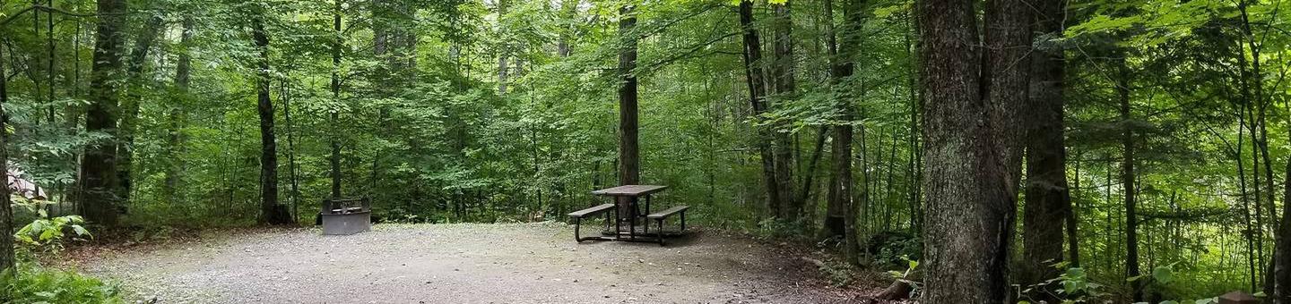 campsite with picnic table, fire ring, and gravel surfacing in wooded areacampsite 23