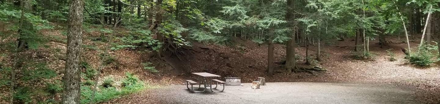 campsite with picnic table, fire ring, and gravel surfacing in wooded areacampsite 24