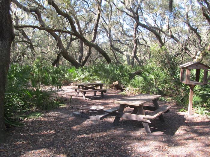 campsite with picnic table, food cage, and fire ring under live oak treesSea Camp site 3