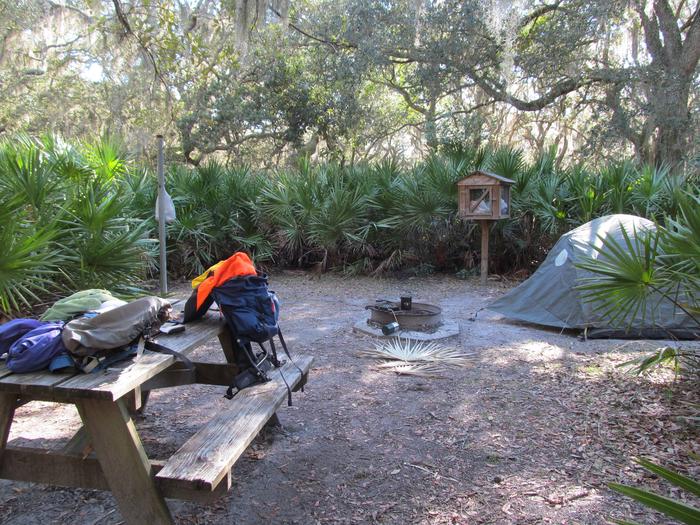 campsite with picnic table, food cage, and fire ring under live oak treesSea Camp site 4