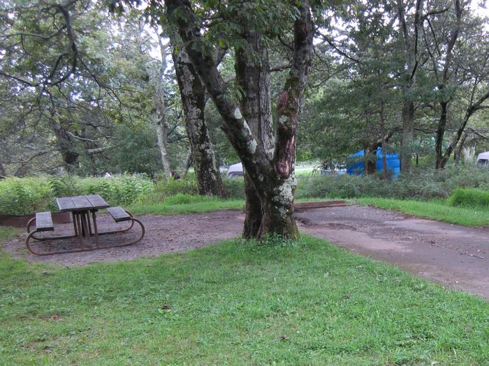 Campsite E191Site has a driveway, tent pad, picnic table, fire pit, and food storage box. 