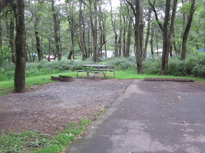 Campsite E194Site has a driveway, tent pad, picnic table, and fire pit. 