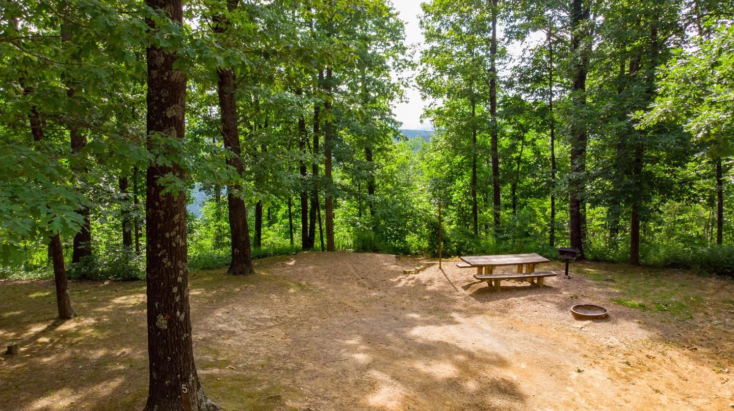 WHITE ROCK MOUNTAIN RECREATION AREAOne of 9 shaded and clean campsites.