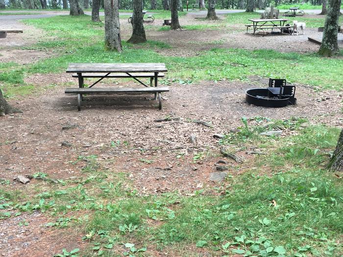 Campsite I226Site has a driveway, tent pad, picnic table, and fire pit. 