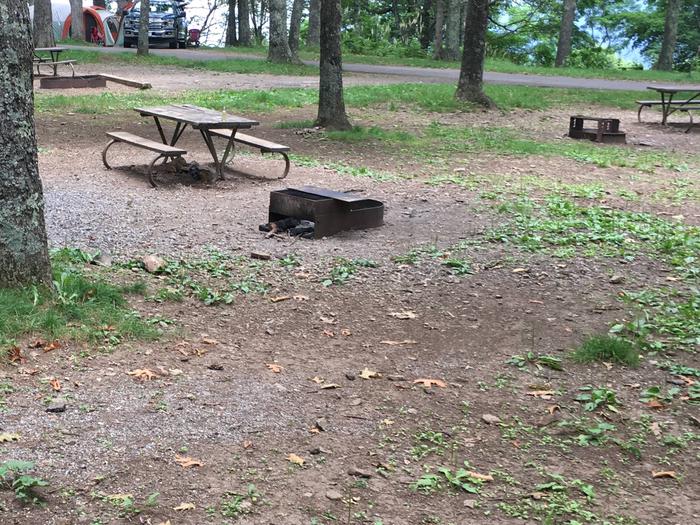 Campsite I228Site has a driveway, tent pad, picnic table, and fire pit. 