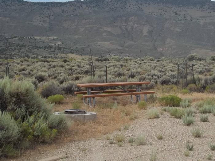 Picnic table and fire pit in a semi grassy area with sagebrush surrounding the site.Antelope Flat Campground: Site 8