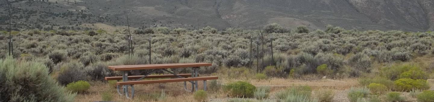 Picnic table in a semi grassy area with sagebrush surrounding the site.Antelope Flat Campground: Site 8