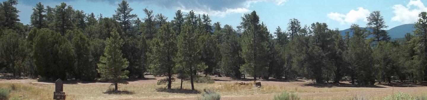 Group site that is tucked away in the pine trees.Arch Dam Campground: Site 3