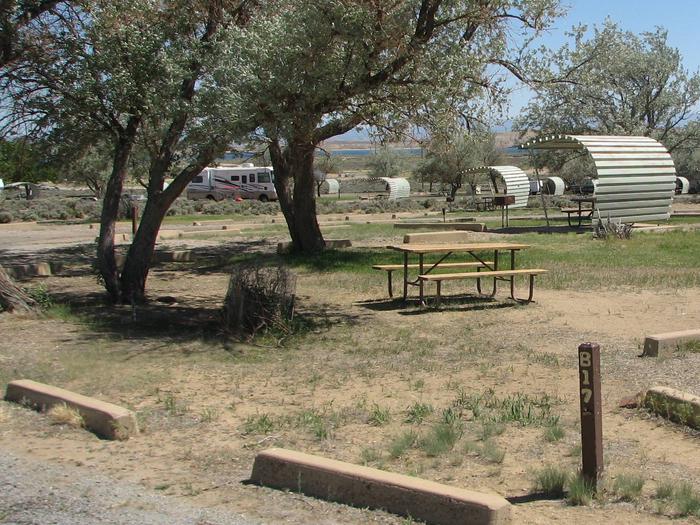 Picnic table in a semi grassy area with a couple of large trees next to it. Other sites can be seen in the background.Buckboard Crossing Campground: Loop B, Site 17
