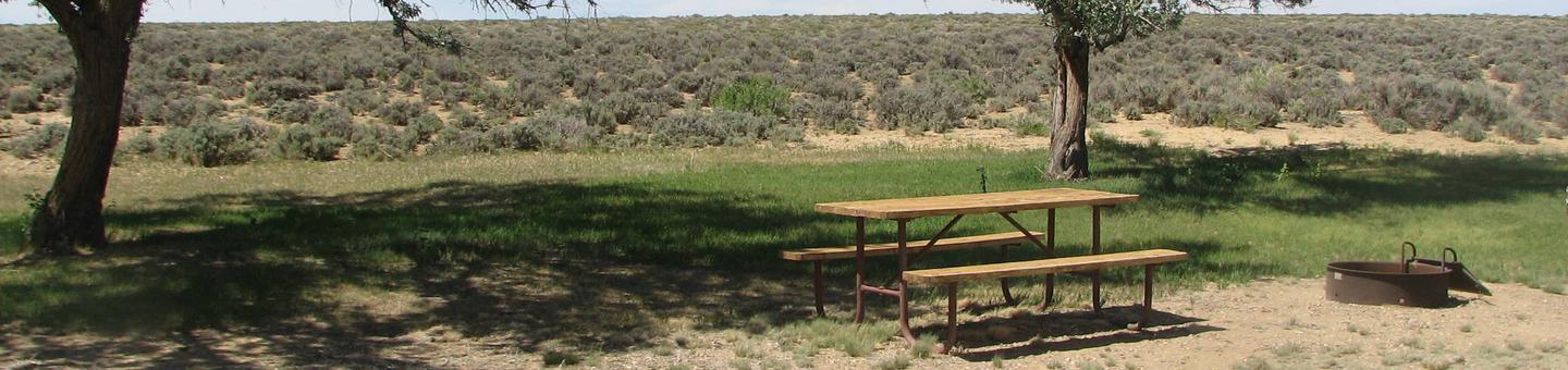 Picnic table and fire pit in a semi grassy area with a couple of trees next to it. Sagebrush flats are located behind the site.Buckboard Crossing Campground: Loop B, Site 18
