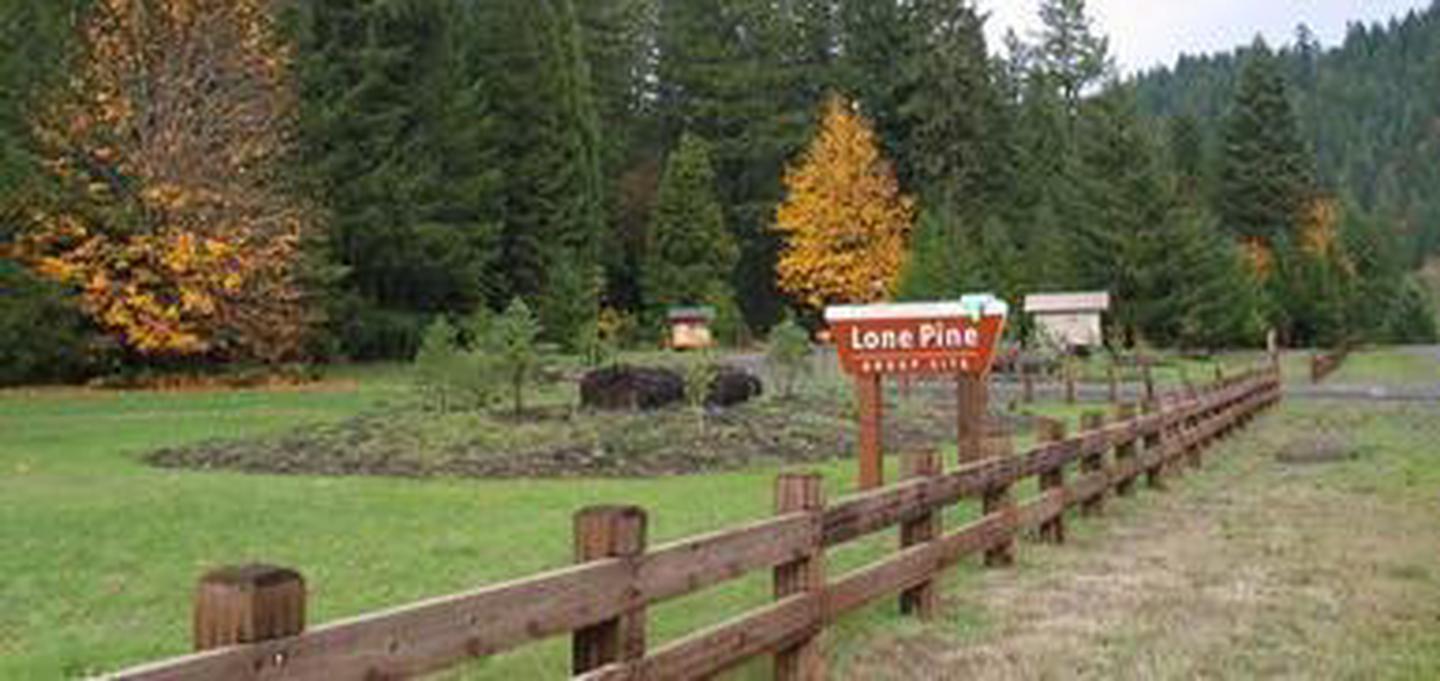 Lone Pine Group Campground (Reservation)