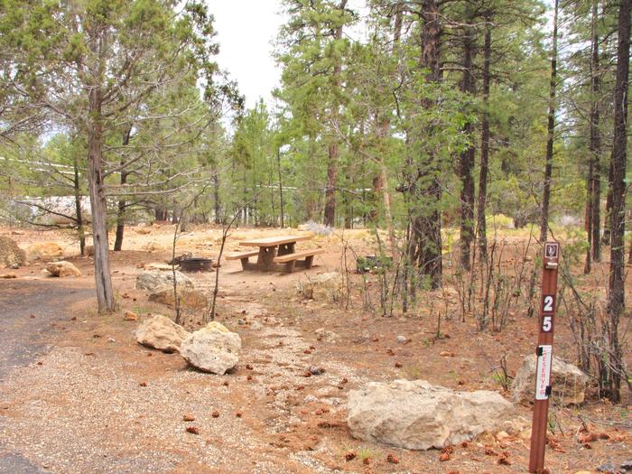 Picnic table and fire pit, Mather Campground