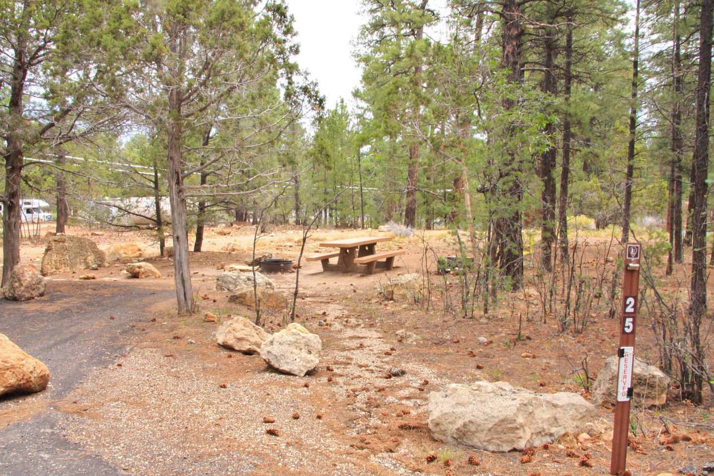 Picnic table and fire pit, Mather Campground