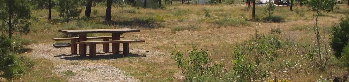 This site has a picnic table in a gravel area with grasses and trees surrounding the site.Canyon Rim Campground: Site 2
