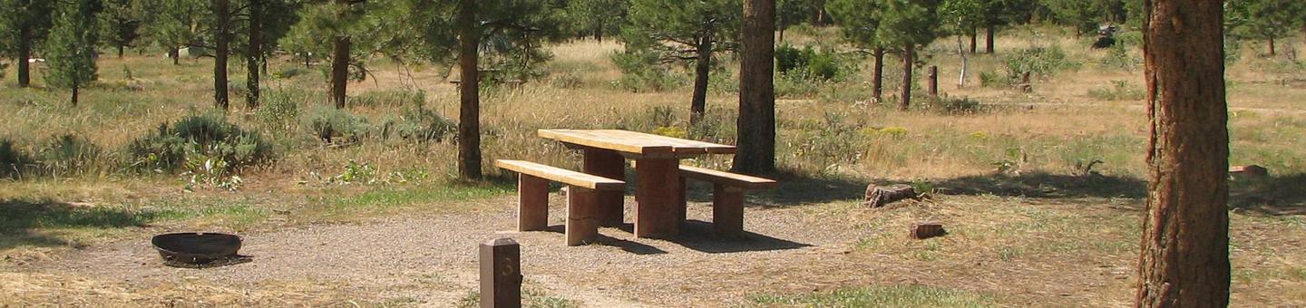 This site has a picnic table and a fire pit in a gravel area. Trees and grasses surround the area.Canyon Rim Campground: Site 3