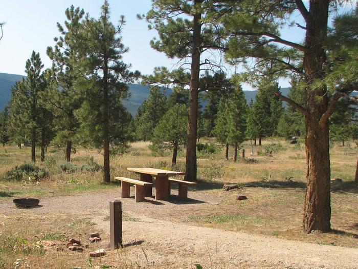 This site has a picnic table and a fire pit in a gravel area. Trees and grasses surround the area.Canyon Rim Campground: Site 3