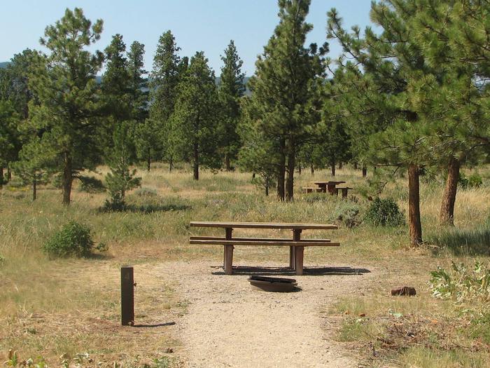 This site has a picnic table and a fire pit in a gravel area. Trees and grasses surround the area.Canyon Rim Campground: Site 4