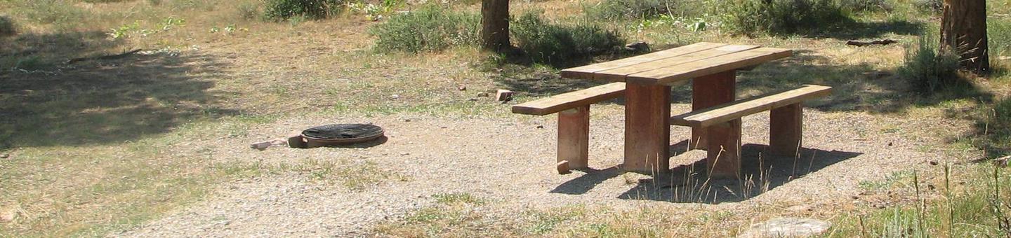 This site has a picnic table in a gravel area with grasses and trees surrounding the site.Canyon Rim Campground: Site 5
