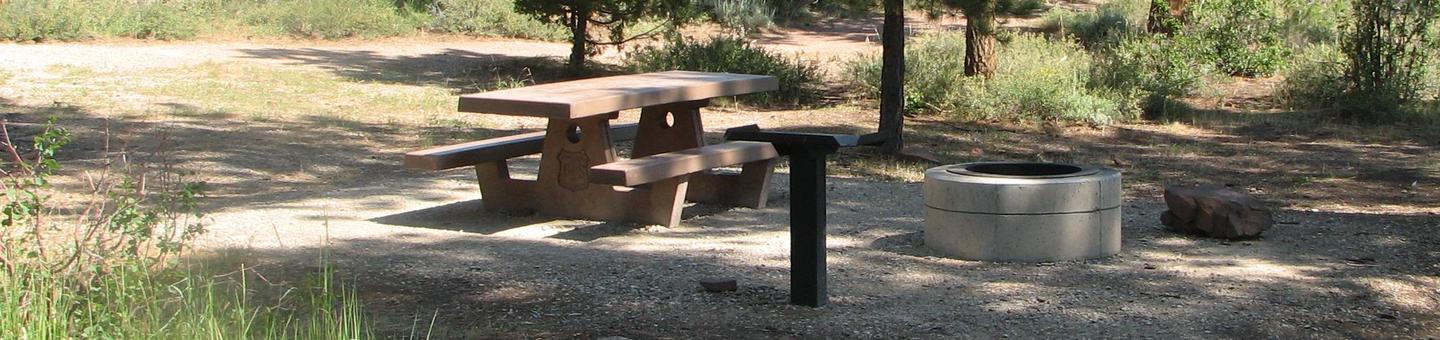 This site has a picnic table in a gravel area with grasses and trees surrounding the site.Canyon Rim Campground: Site 8
