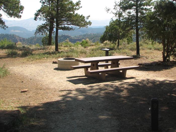 This site has a picnic table and a fire pit in a gravel area. Trees and grasses surround the area.Canyon Rim Campground: Site 9