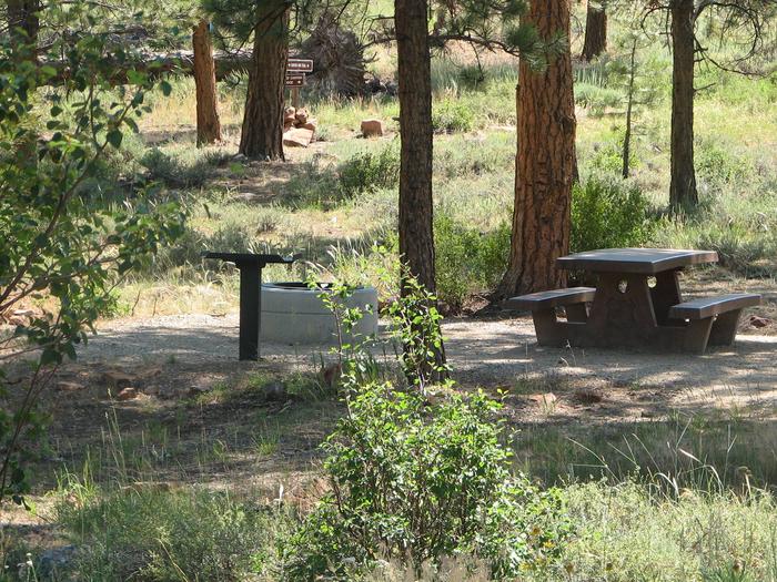 This site has a picnic table and a fire pit in a gravel area. Trees and grasses surround the area. The trailhead can be seen in the distance.Canyon Rim Campground: Site 10