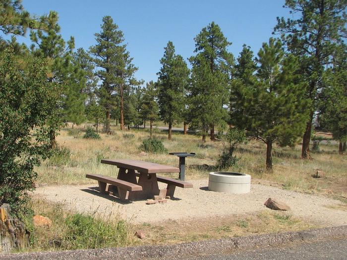 This site has a picnic table and a fire pit in a gravel area. Trees and grasses surround the area.Canyon Rim Campground: Site 11