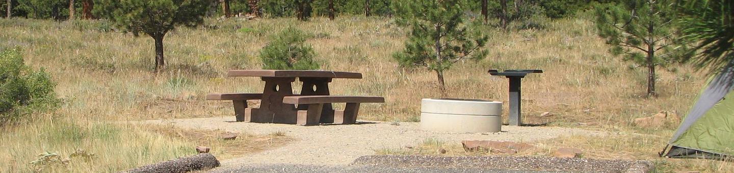 This site has a picnic table and a fire pit in a gravel area. Trees and grasses surround the area.Canyon Rim Campground: Site 14