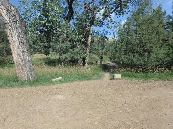 There is a short walk to the picnic table and grill from the pull off (parallel site). Site 39.