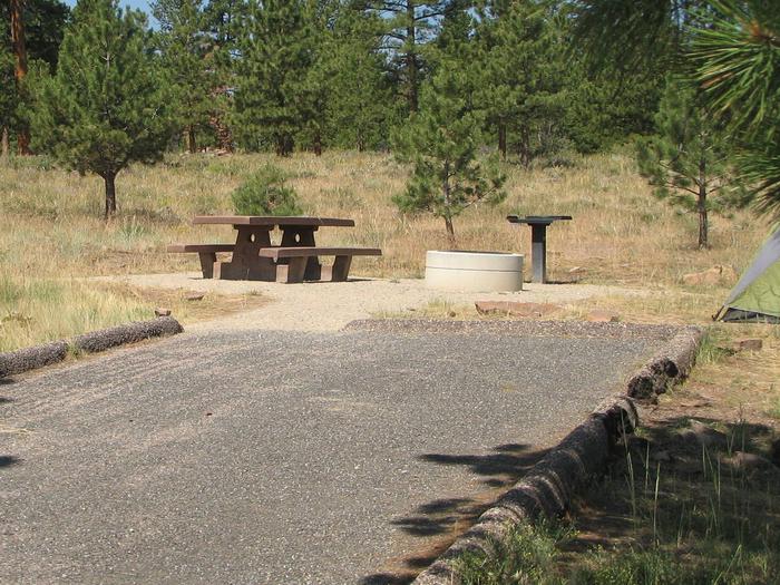 This site has a picnic table and a fire pit in a gravel area located behind the parking area. Trees and grasses surround the area.Canyon Rim Campground: Site 14