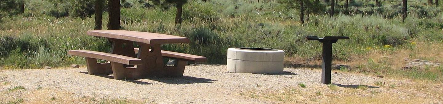 This site has a picnic table and a fire pit in a gravel area. Trees and grasses surround the area.Canyon Rim Campground: Site 15
