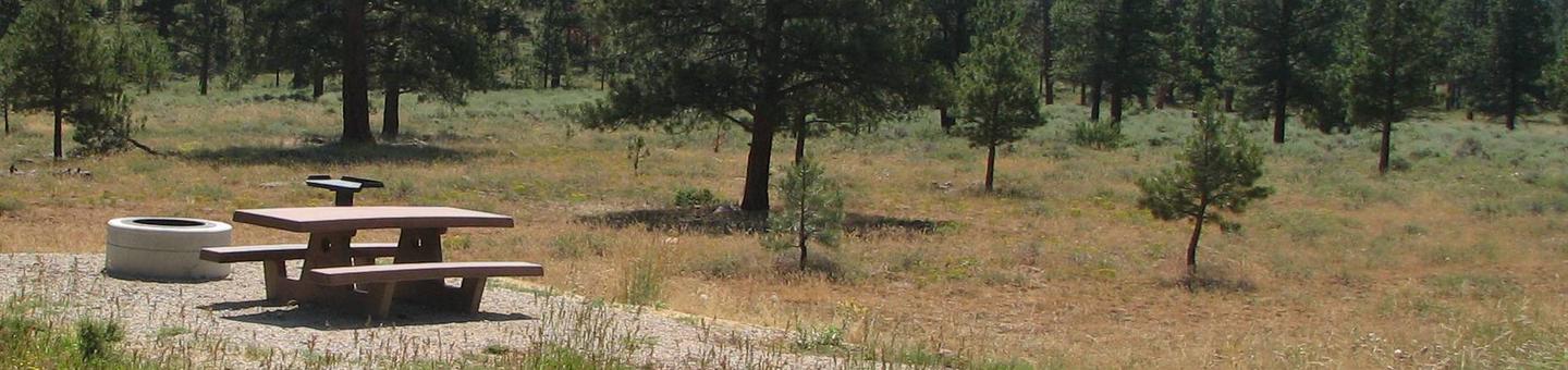This site has a picnic table in a gravel area with grasses and trees surrounding the site.Canyon Rim Campground: Site 16