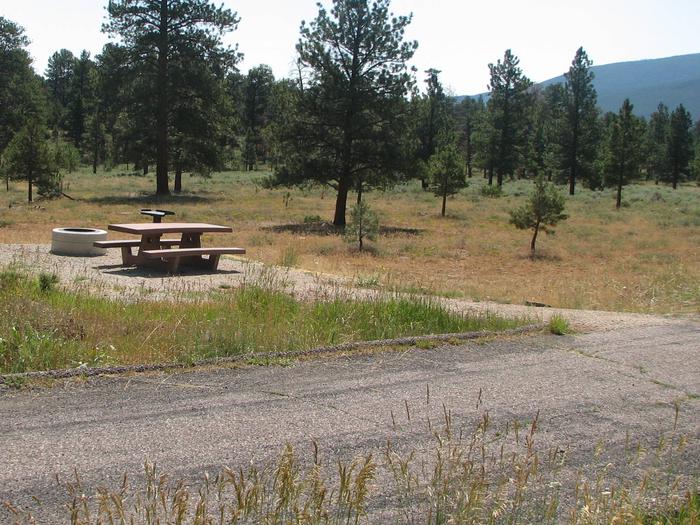 This site has a picnic table in a gravel area to the side of the parking area with grasses and trees surrounding the site.Canyon Rim Campground: Site 16