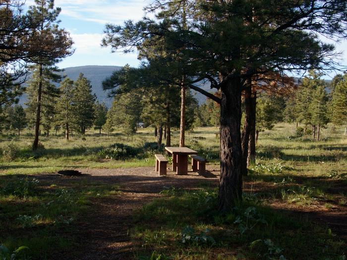 This campground is located in a semi-wooded area with grasses and bushes covering the forest floor.Canyon Rim Campground