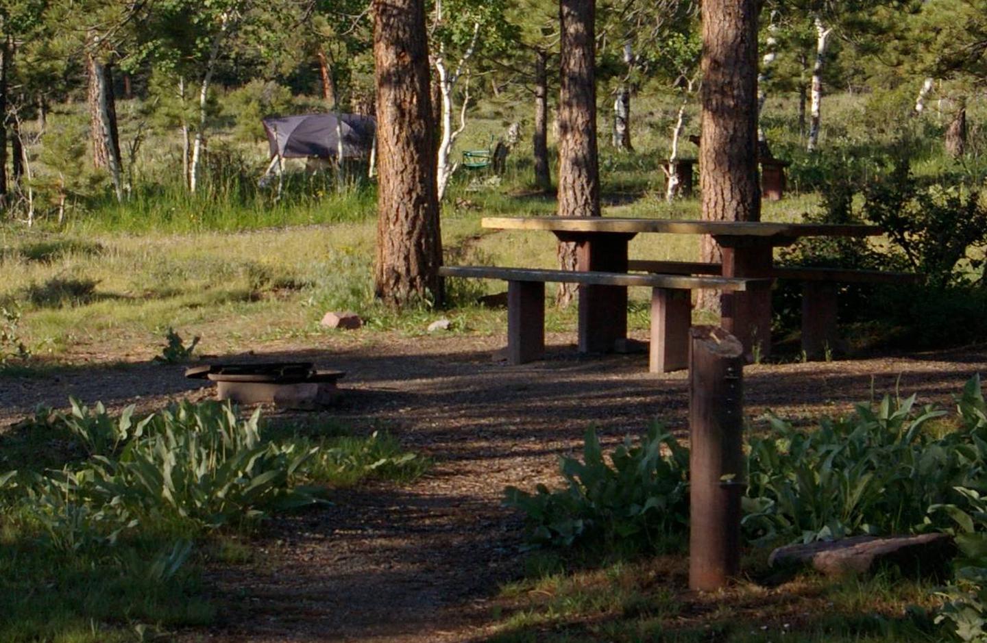 This site is has a tent set up in the background. There is a picnic table and fire pit in the non-grassy area. This site offers some shade.Canyon Rim Campground