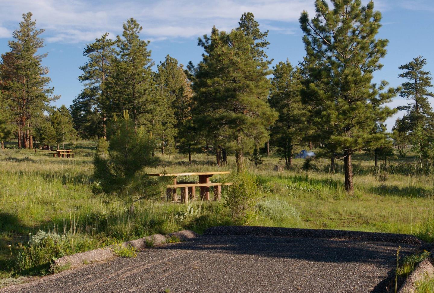 This site has a picnic table and grill in a grassy area to the back of the parking slot. There are a few trees that are in the background. Canyon Rim Campground