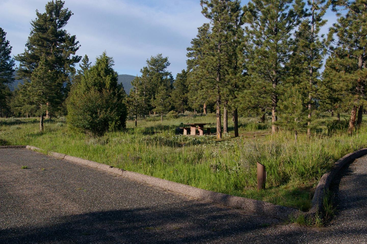 This site has a picnic table in a grassy area surrounded by conifers. Canyon Rim Campground