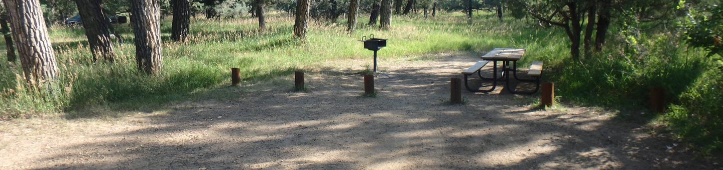 Picture of the picnic table and grill area behind the site. Site 51